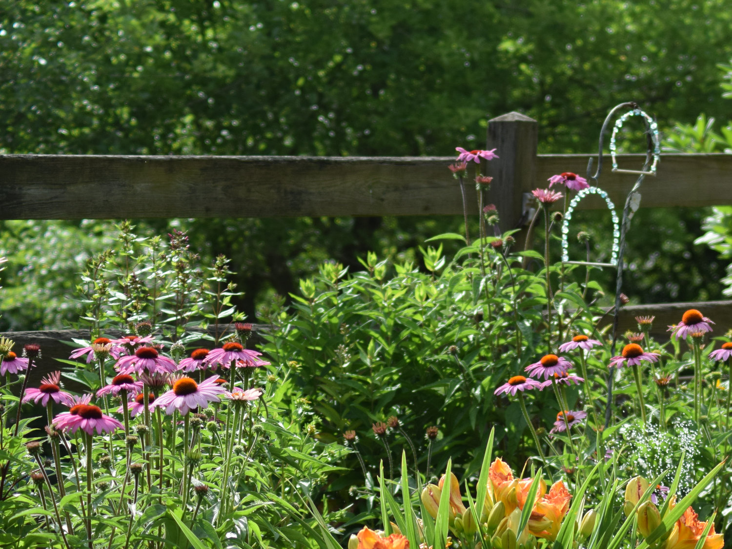 See the variety in Wayne County gardens, courtesy of the hospital auxiliary's garden tour.